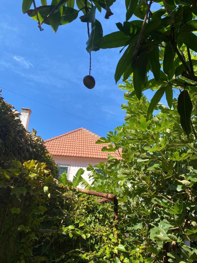 Avo Lucindinha House - Porto Moniz Villa Exterior photo